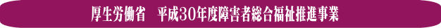 厚生労働省　平成30年度障害者総合福祉推進事業　